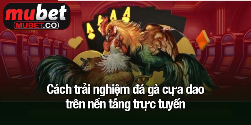 Đá gà cựa dao - Trận đấu kịch tính, cược thông minh 3 Cách trải nghiệm đá gà cựa dao trên nền tảng trực tuyến