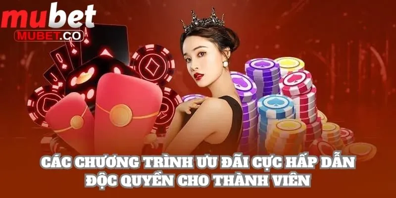 Mubet - Link Đăng Nhập Mubet.Com Không Chặn 2026 19 Các chương trình ưu đãi cực hấp dẫn độc quyền cho thành viên