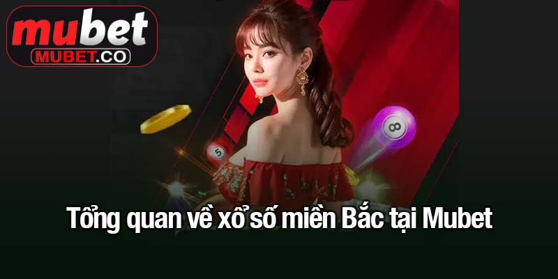 Xổ số miền Bắc - Con đường ngắn nhất đến giải thưởng tiền tỷ 1 Tổng quan về xổ số miền Bắc tại Mubet